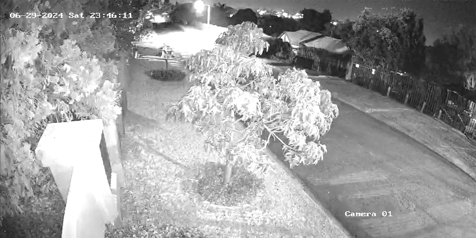 Conventional Infrared Camera View